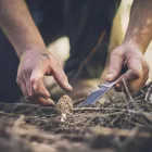 GERBER Asada zsebkés