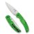 Spyderco Native Chief Lightweight Salt Green  LC200N 
