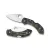 Spyderco Dragonfly 2 Lightweight Green Zome