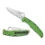 Spyderco Pacific Salt 2 Lockback Green
