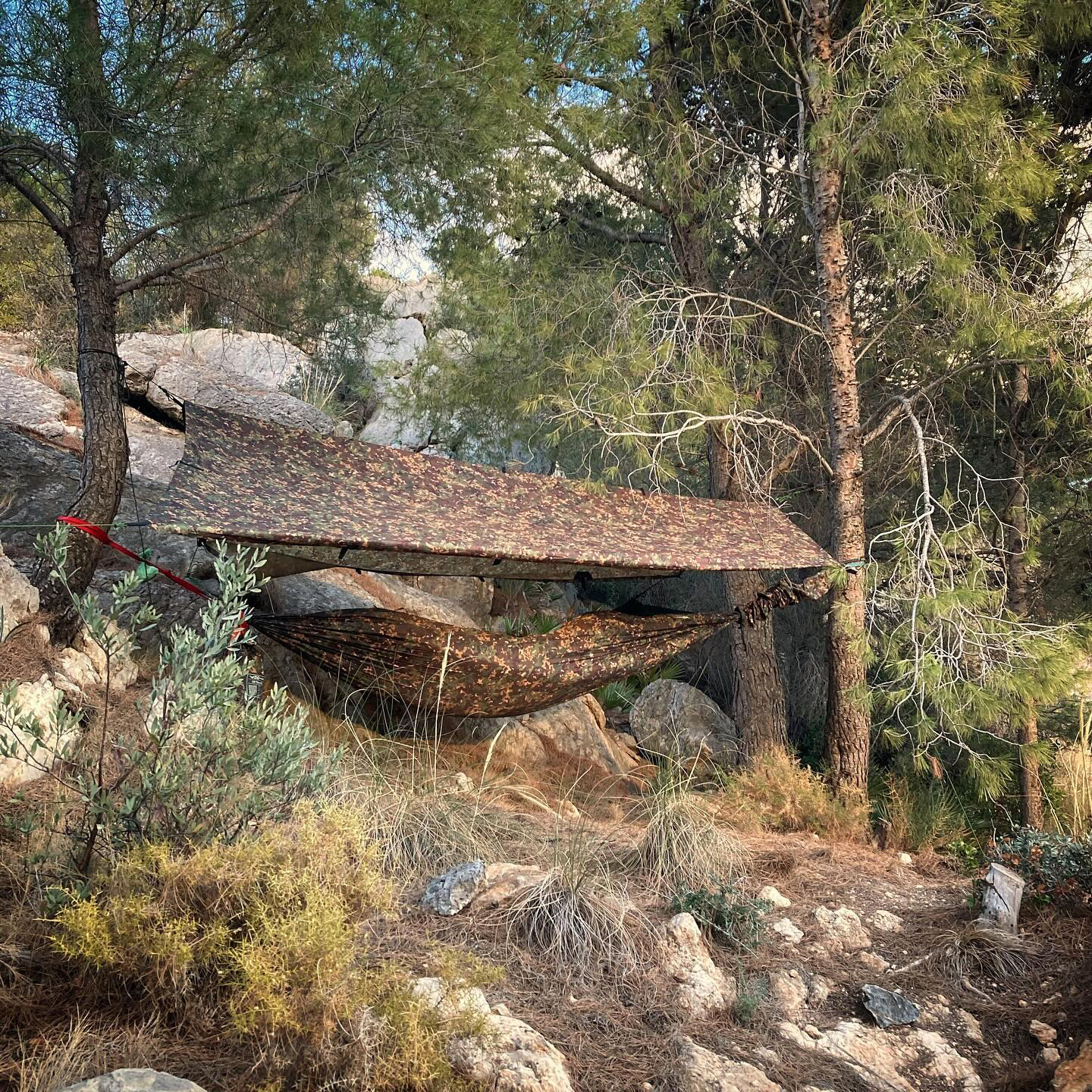 Kint aludnál? Sátor vagy szúnyoghálós függőágy? 