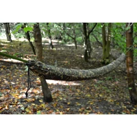 DD Hammock Sleeve - MC