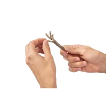 Bushbox tűzgyújtó éleszték