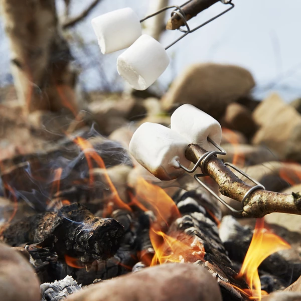 Light my Fire FireLighting Kit BIO