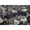Extrema Ratio RAO C Black kés